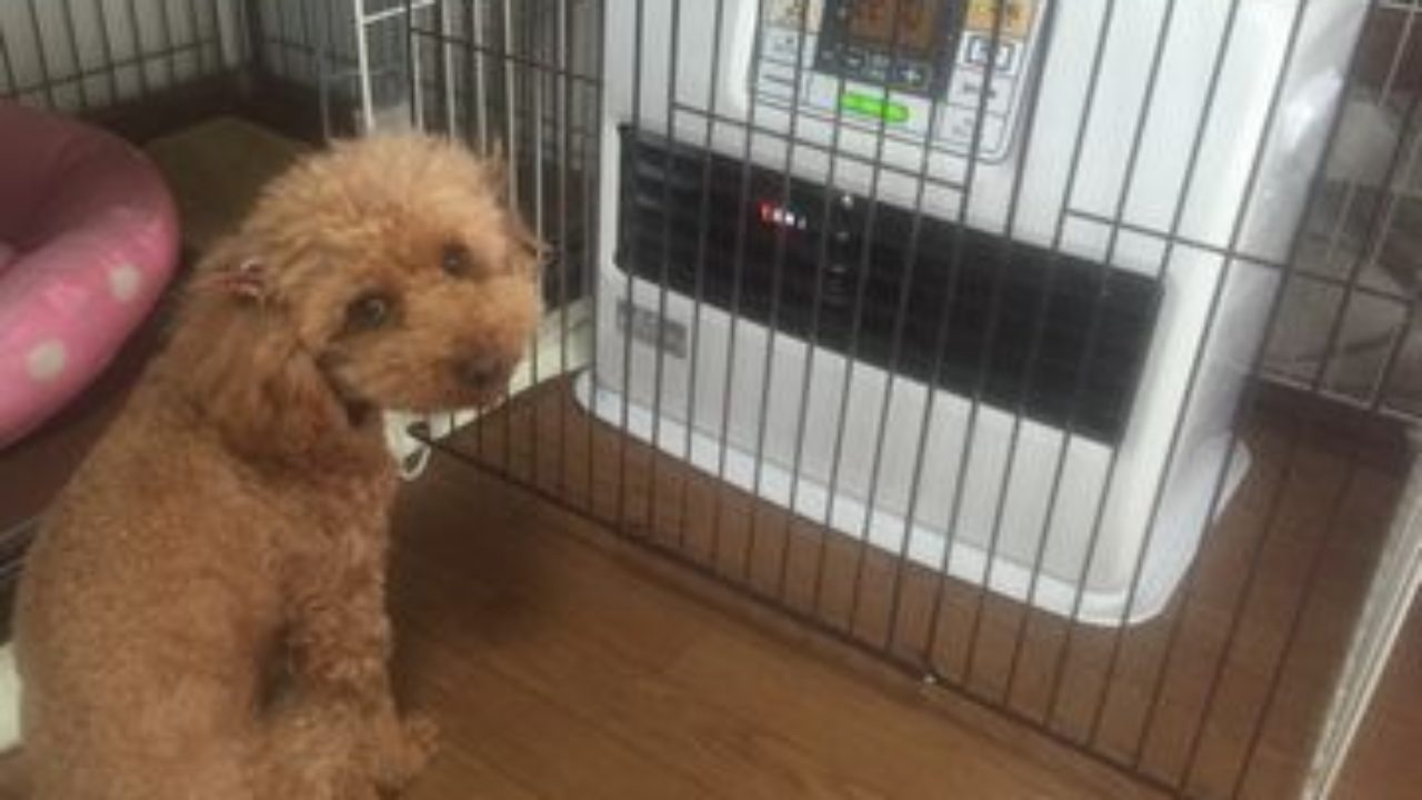 ファンヒーターをつけても寒いのは 部屋の広さに合ってなかったから 田舎でゆったり子育てしたい